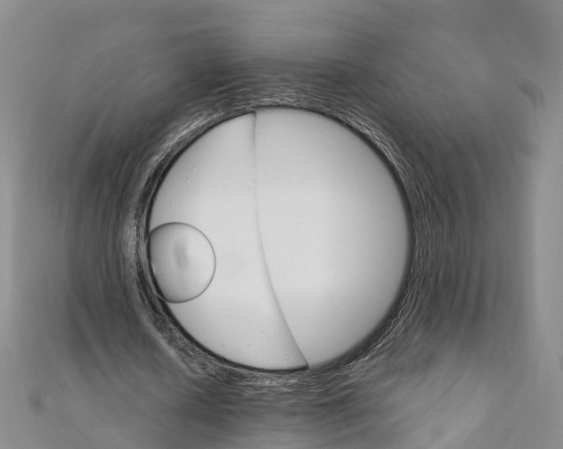 X0000111510626200908111309