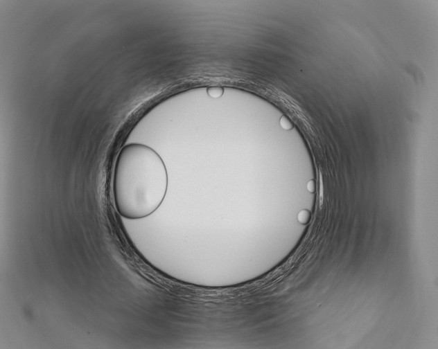 X0000111510627200908111309