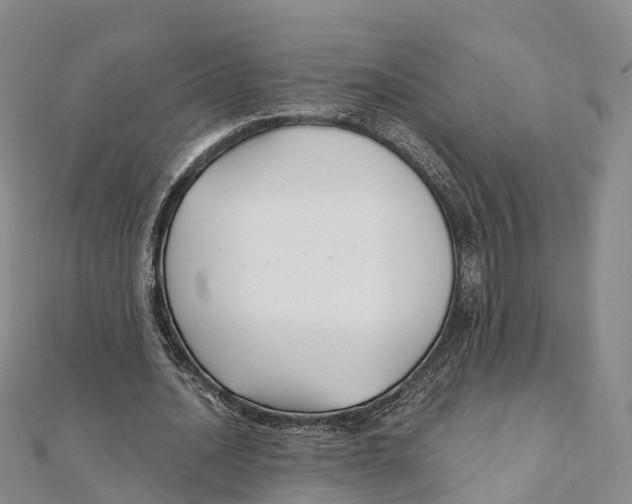 X0000111510628200908111309