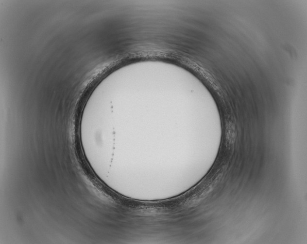 X0000111510629200908111309