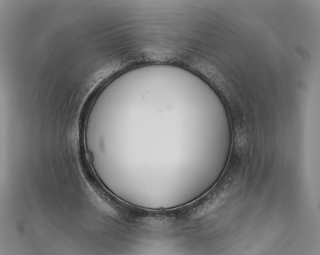 X0000111510630200908111310