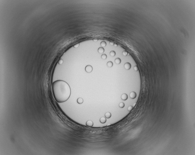 X0000111510631200908111310