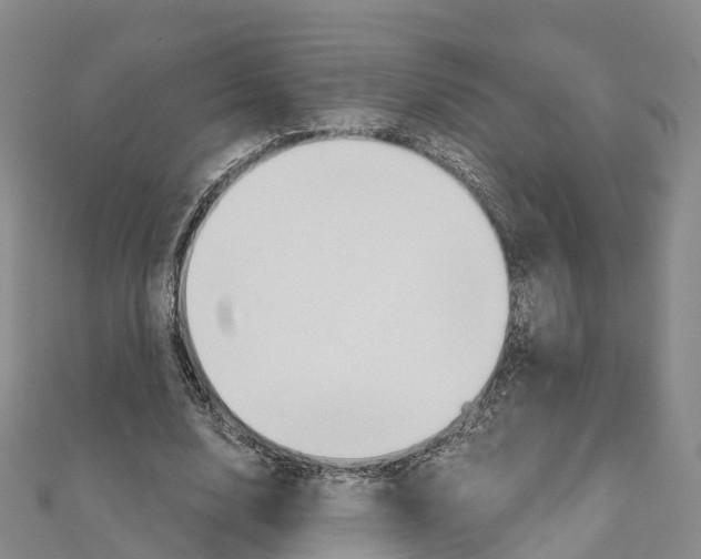 X0000111510632200908111310