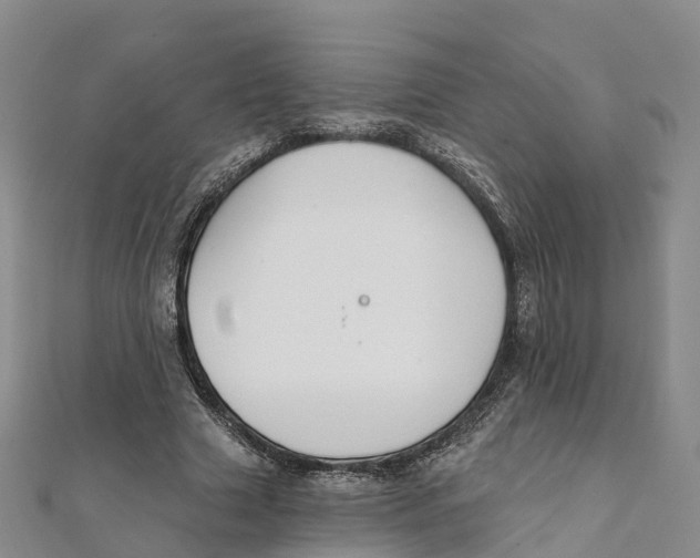 X0000111510633200908111310