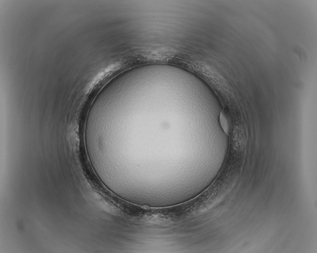 X0000111510634200908111310