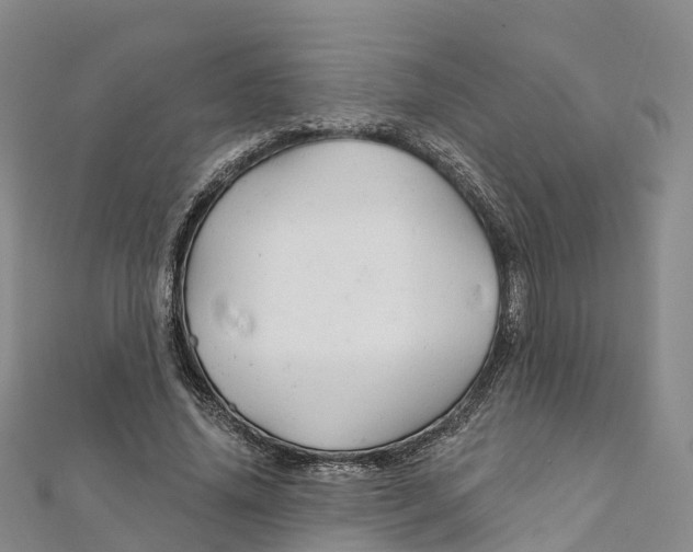 X0000111510636200908111310
