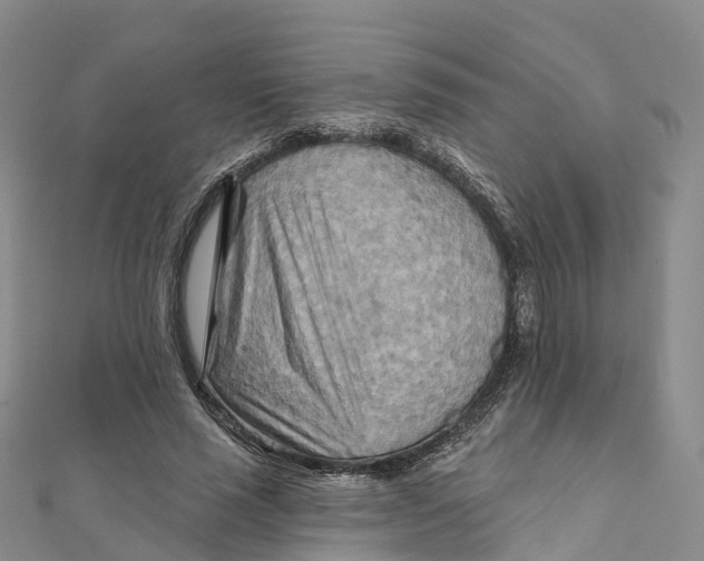 X0000111510637200908111310