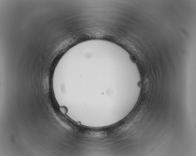 X0000111510638200908111310