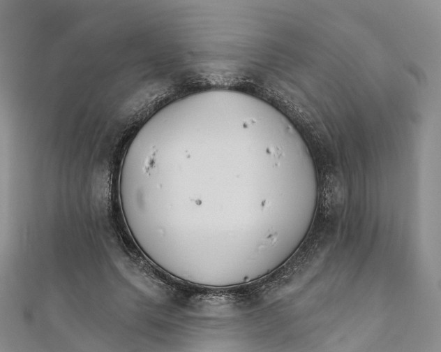 X0000111510639200908111310