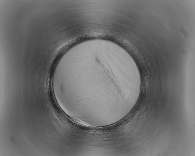 X0000111510640200908111310