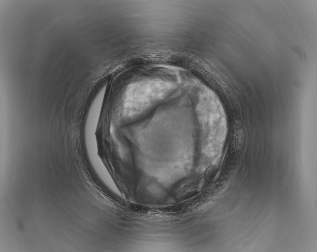 X0000111510641200908111310