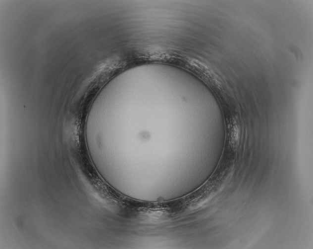 X0000111510643200908111310