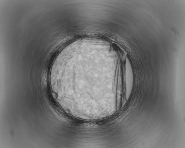 X0000111510644200908111310