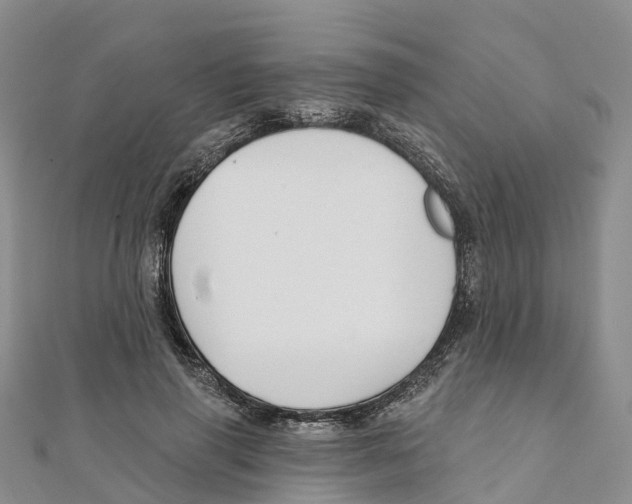 X0000111510645200908111310