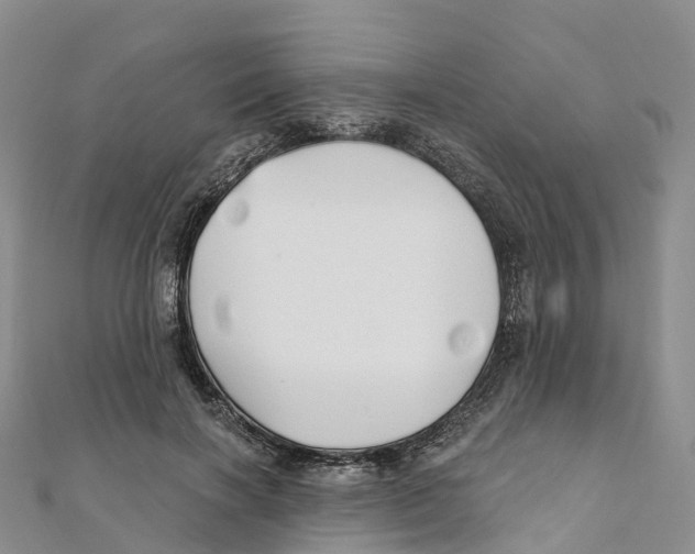 X0000111510646200908111310