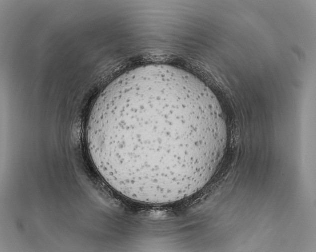 X0000111510647200908111310