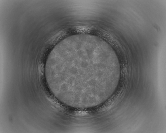 X0000111510649200908111310