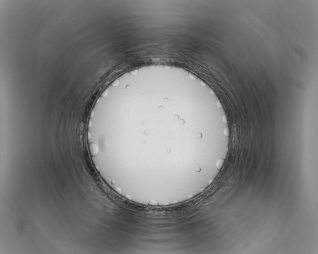 X0000111510650200908111310