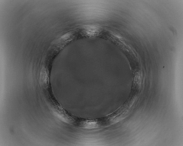 X0000111510651200908111310