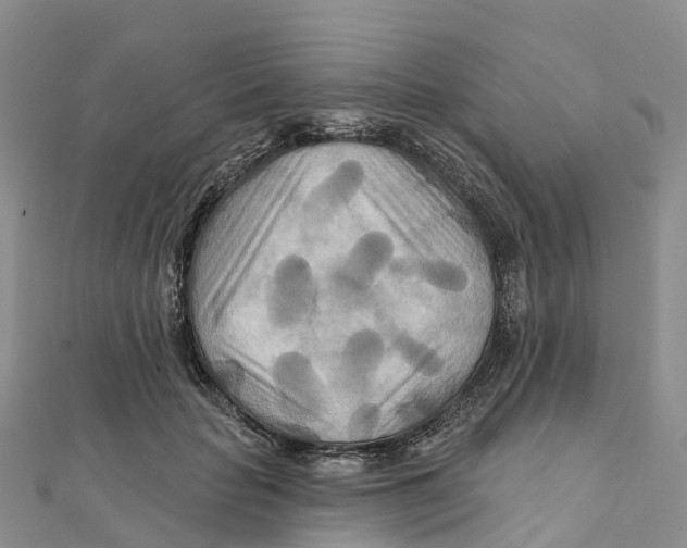 X0000111510653200908111310