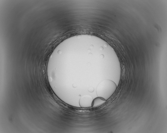 X0000111510654200908111310
