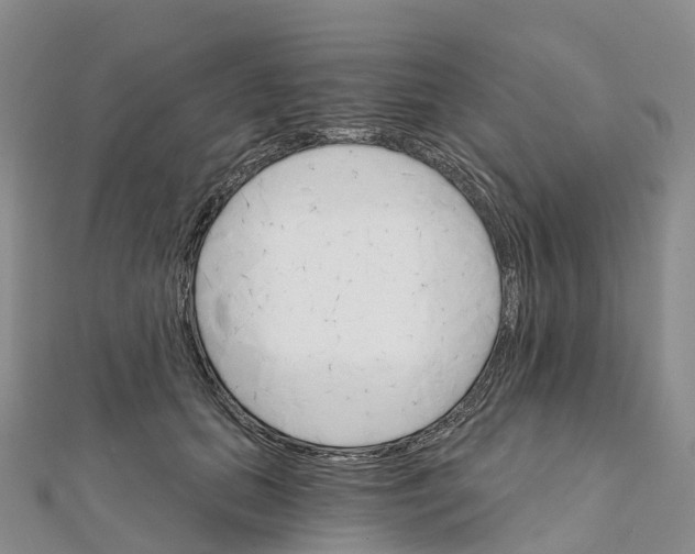 X0000111510655200908111310