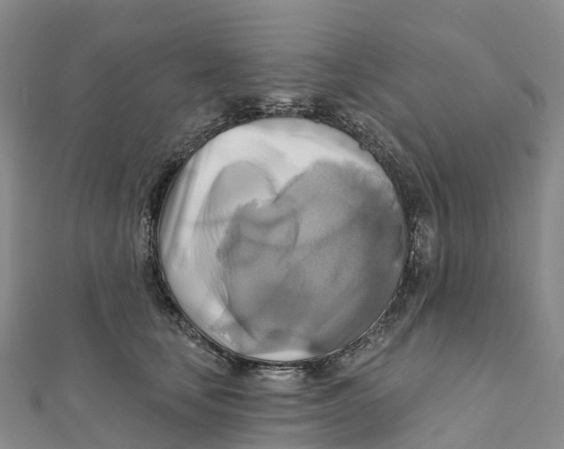 X0000111510659200908111310