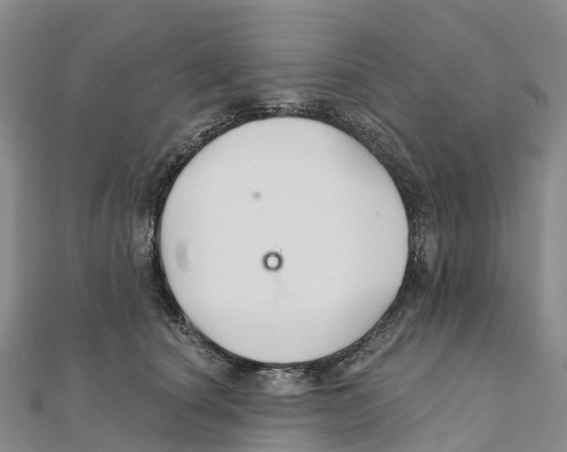 X0000111510660200908111310