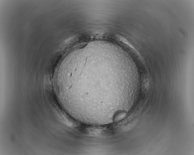 X0000111510661200908111310