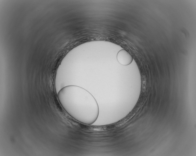 X0000111510662200908111310