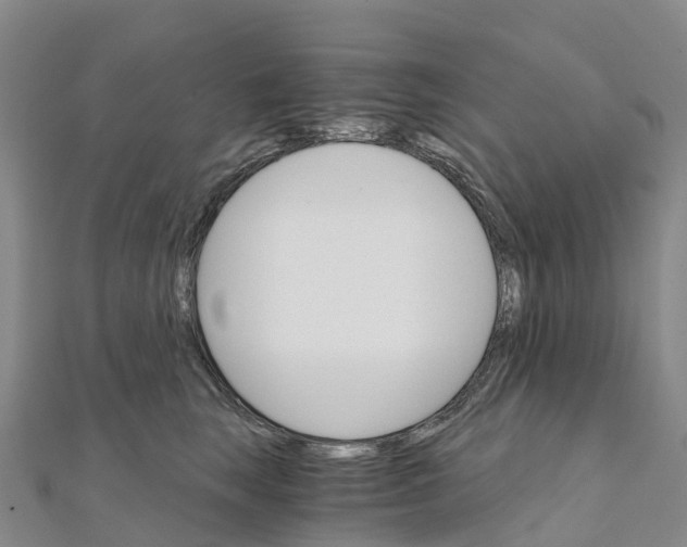 X0000111510663200908111310