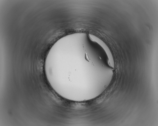 X0000111510664200908111310
