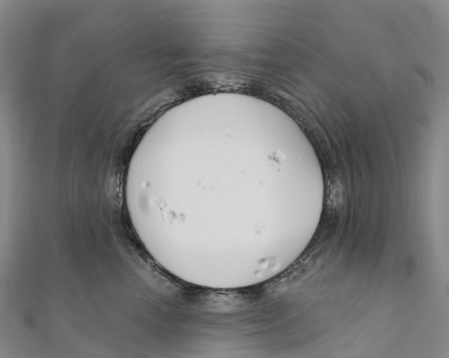 X0000111510666200908111310