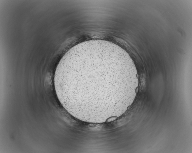 X0000111510667200908111310