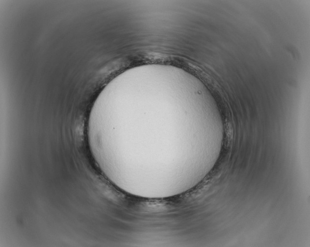 X0000111510668200908111310