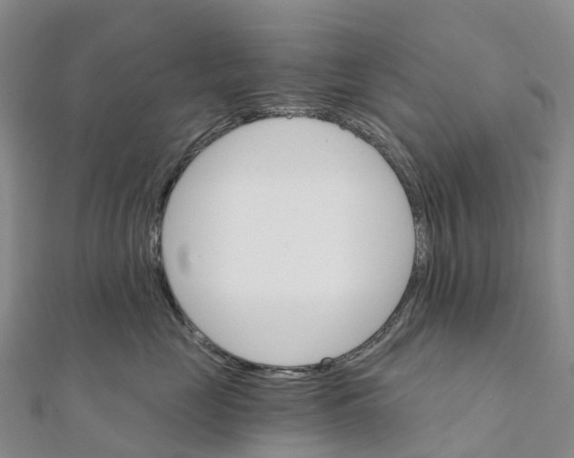 X0000111510669200908111310