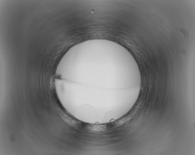 X0000111510670200908111310