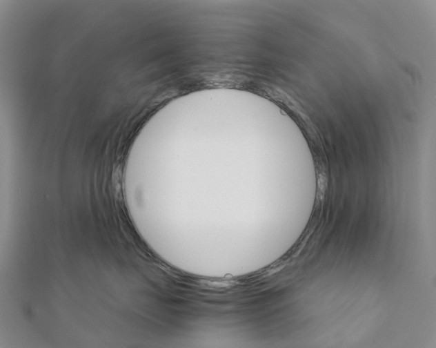 X0000111510671200908111310