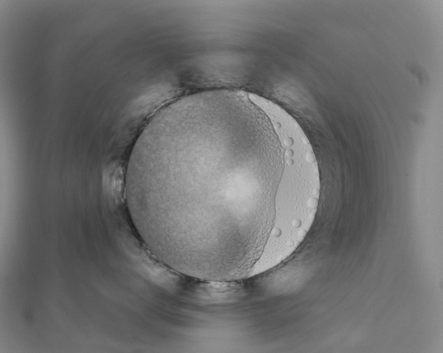 X0000111510672200908111310