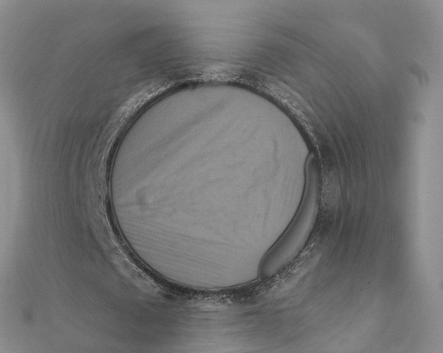 X0000111510673200908111309