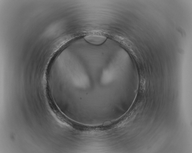 X0000111510674200908111309