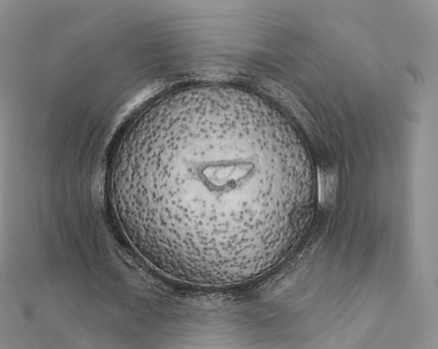 X0000111510675200908111309