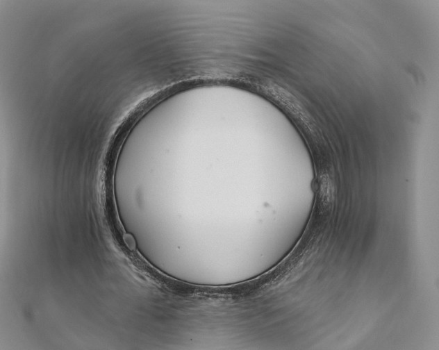 X0000111510676200908111309