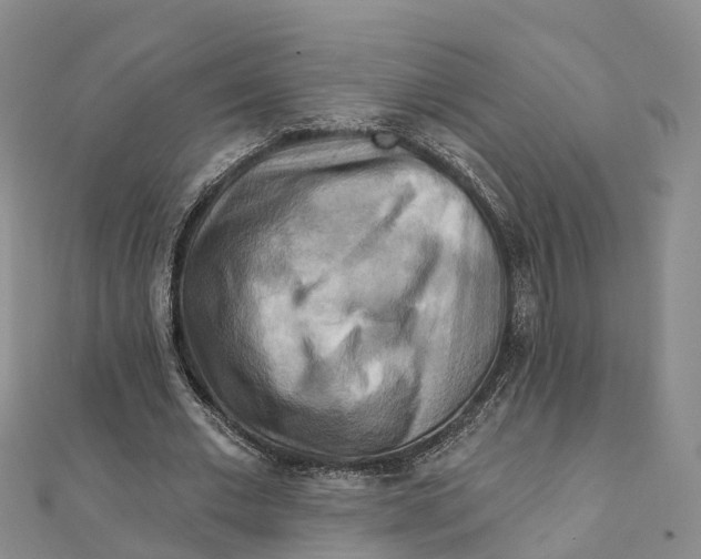 X0000111510677200908111309