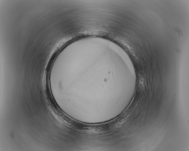X0000111510678200908111309