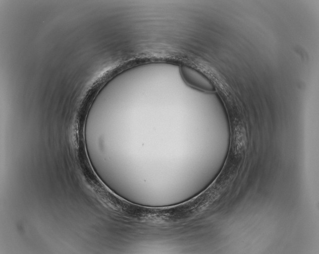 X0000111510680200908111309