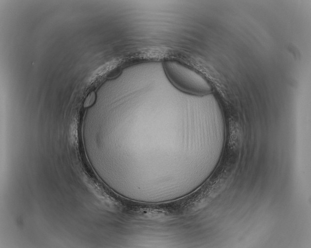 X0000111510681200908111309
