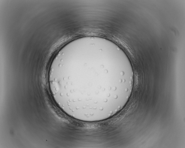 X0000111510682200908111309