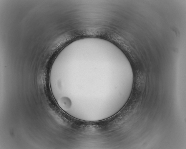 X0000111510683200908111309