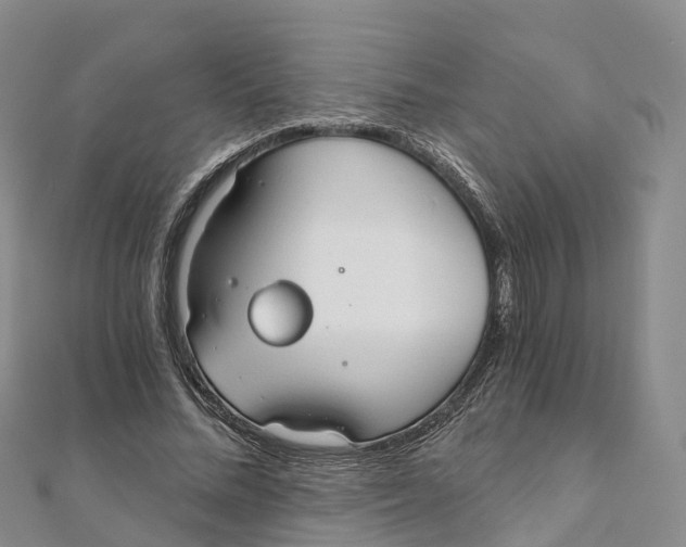 X0000111510684200908111309